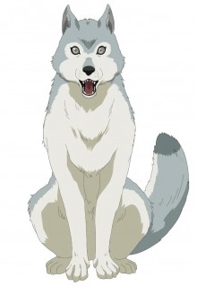加尔夫