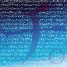 鱼丰