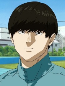 桦木