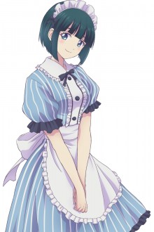 小野白菊