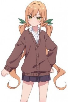 院田唐音